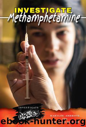 Investigate Methamphetamine by Marylou Ambrose