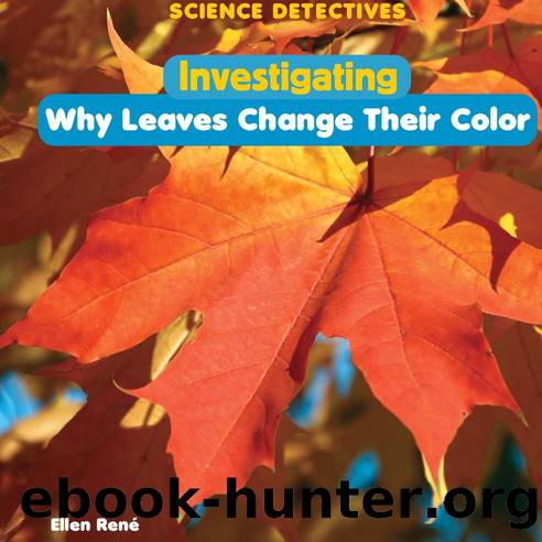 Investigating Why Leaves Change Their Color by Ellen René