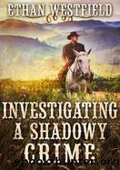Investigating a Shadowy Crime by Ethan Westfield