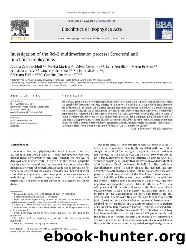 Investigation of the Bcl-2 multimerisation process: Structural and functional implications by unknow