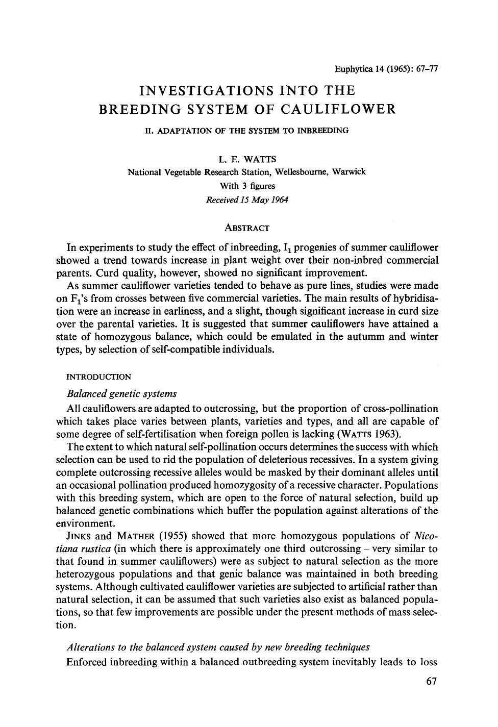Investigations into the breeding system of cauliflower by Unknown