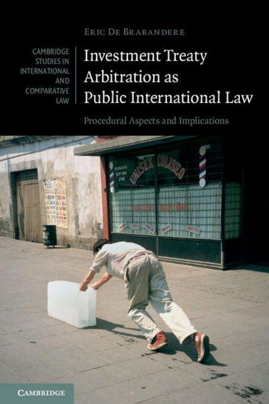 Investment Treaty Arbitration as Public International Law: Procedural Aspects and Implications by Eric de Brabandere