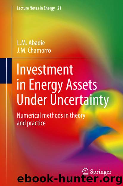 Investment in Energy Assets Under Uncertainty by L.M. Abadie & J.M. Chamorro