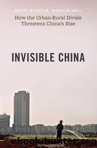Invisible China by Scott Rozelle & Natalie Hell