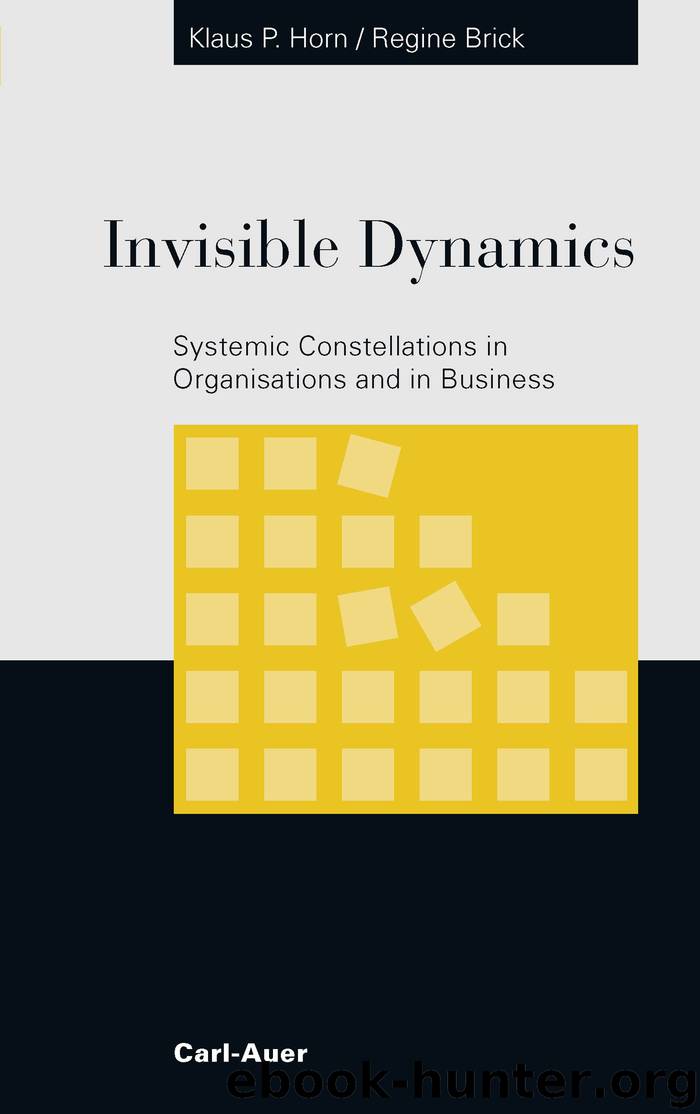 Invisible Dynamics by Klaus P Horn