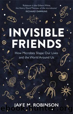 Invisible Friends by Robinson Jake;