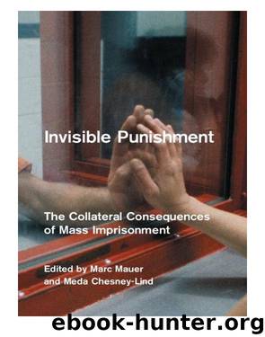 Invisible Punishment by Chesney-Lind Meda Mauer Marc
