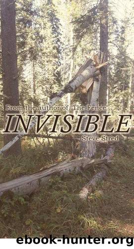 Invisible by Steve Stred