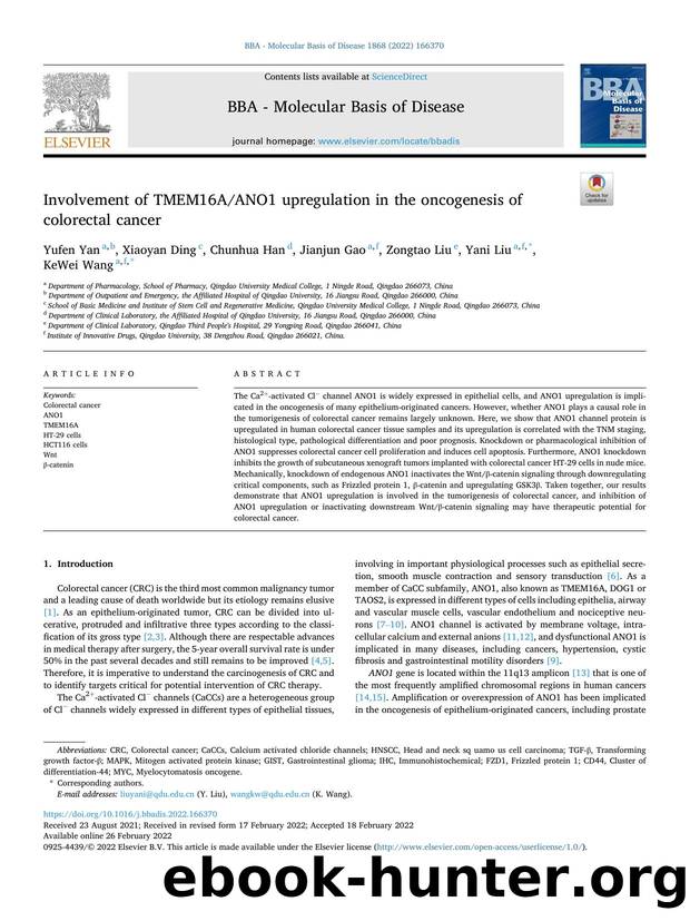 Involvement of TMEM16AANO1 upregulation in the oncogenesis of colorectal cancer by Yufen Yan & Xiaoyan Ding & Chunhua Han & Jianjun Gao & Zongtao Liu & Yani Liu & KeWei Wang