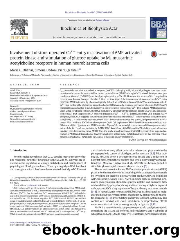 Involvement of store-operated Ca2+ entry in activation of AMP-activated protein kinase and stimulation of glucose uptake by M3 muscarinic acetylcholine receptors in human neuroblastoma cells by Maria C. Olianas & Simona Dedoni & Pierluigi Onali