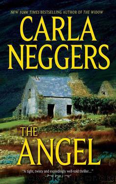Ireland 02 - The Angel by Carla Neggers