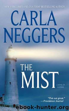 Ireland 03 - The Mist by Carla Neggers