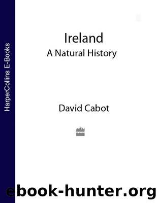 Ireland by David Cabot
