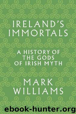 Ireland's Immortals: A History of the Gods of Irish Myth by Mark Williams