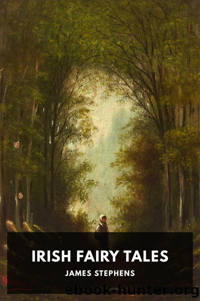 Irish Fairy Tales by Unknown