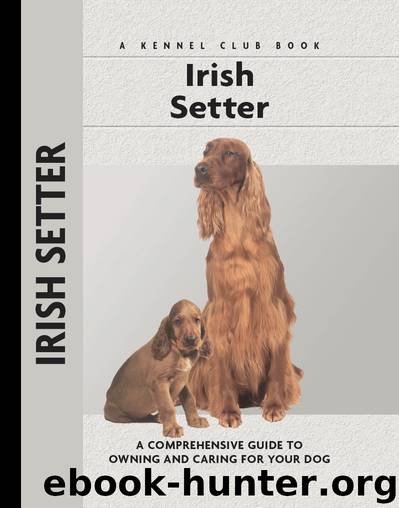 Irish Setter by Margaret Williams