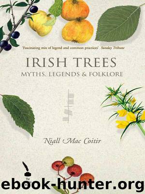 Irish Trees by Mac Coitir Niall