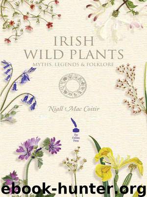 Irish Wild Plants by Coitir Niall Mac