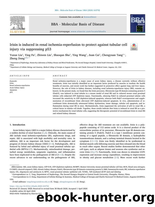 Irisin is induced in renal ischemia-reperfusion to protect against tubular cell injury via suppressing p53 by Yuxue Liu & Ying Fu & Zhiwen Liu & Shaoqun Shu & Ying Wang & Juan Cai & Chengyuan Tang & Zheng Dong