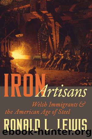 Iron Artisans by Ronald L. Lewis