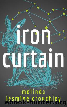 Iron Curtain by Melinda Jasmine Crouchley