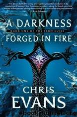 Iron Elves #01 - A Darkness Forged in Fire by Chris Evans