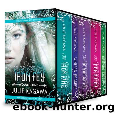 Iron Fey Series, Volume 1 by Julie Kagawa