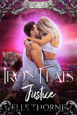 Iron Flats Justice: Shifter Realms by Elle Thorne