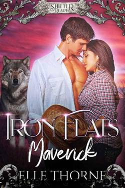 Iron Flats Maverick (Shifter Realms Book 4) by Elle Thorne