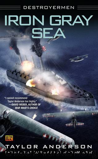 Iron Gray Sea by Taylor Anderson & William Dufris
