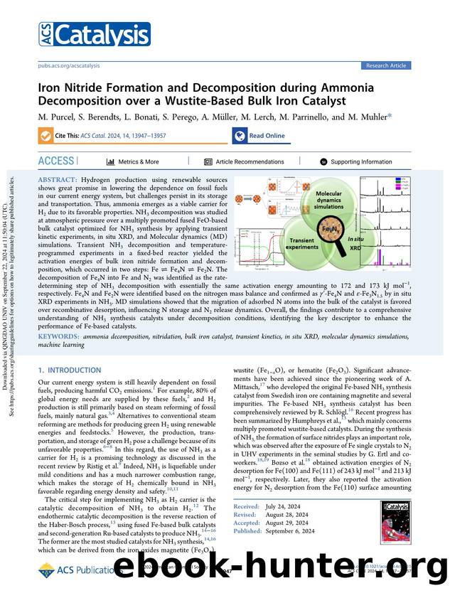 Iron Nitride Formation and Decomposition during Ammonia Decomposition over a Wustite-Based Bulk Iron Catalyst by M. Purcel S. Berendts L. Bonati S. Perego A. Müller M. Lerch M. Parrinello & M. Muhler