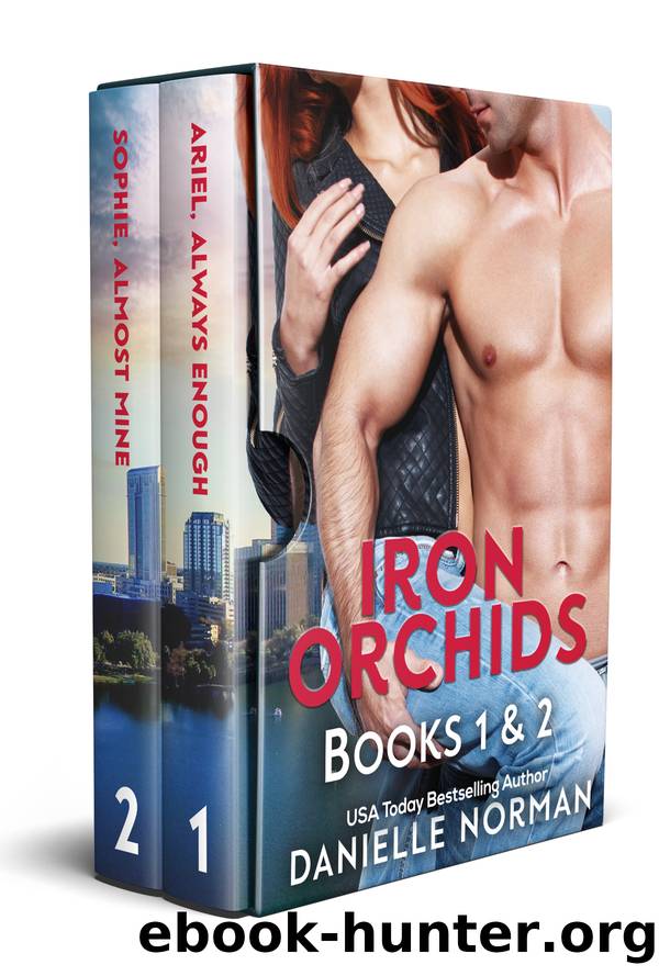 Iron Orchids Box Set 1 by Danielle Norman