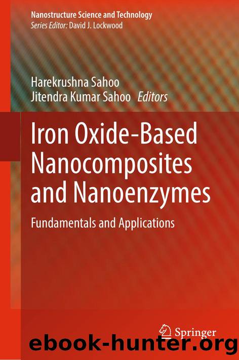 Iron Oxide-Based Nanocomposites and Nanoenzymes by Harekrushna Sahoo · Jitendra Kumar Sahoo