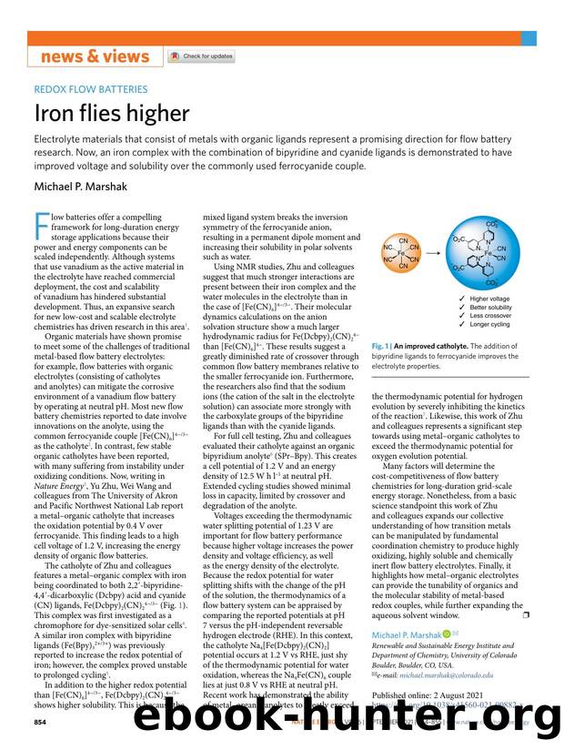 Iron flies higher by Michael P. Marshak