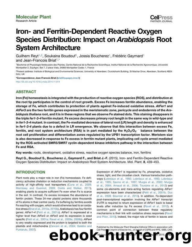 Iron- and Ferritin-Dependent Reactive Oxygen Species Distribution: Impact on Arabidopsis Root System Architecture by Guilhem Reyt & Soukaina Boudouf & Jossia Boucherez & Frédéric Gaymard & Jean-Francois Briat