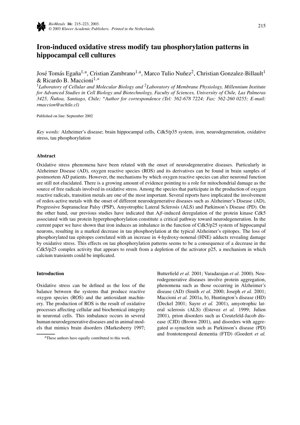 Iron-induced oxidative stress modify tau phosphorylation patterns in hippocampal cell cultures by Unknown