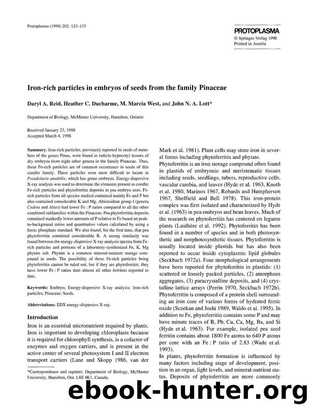 Iron-rich particles in embryos of seeds from the family Pinaceae by Unknown