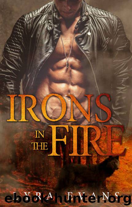 Irons in the Fire by Lyra Evans