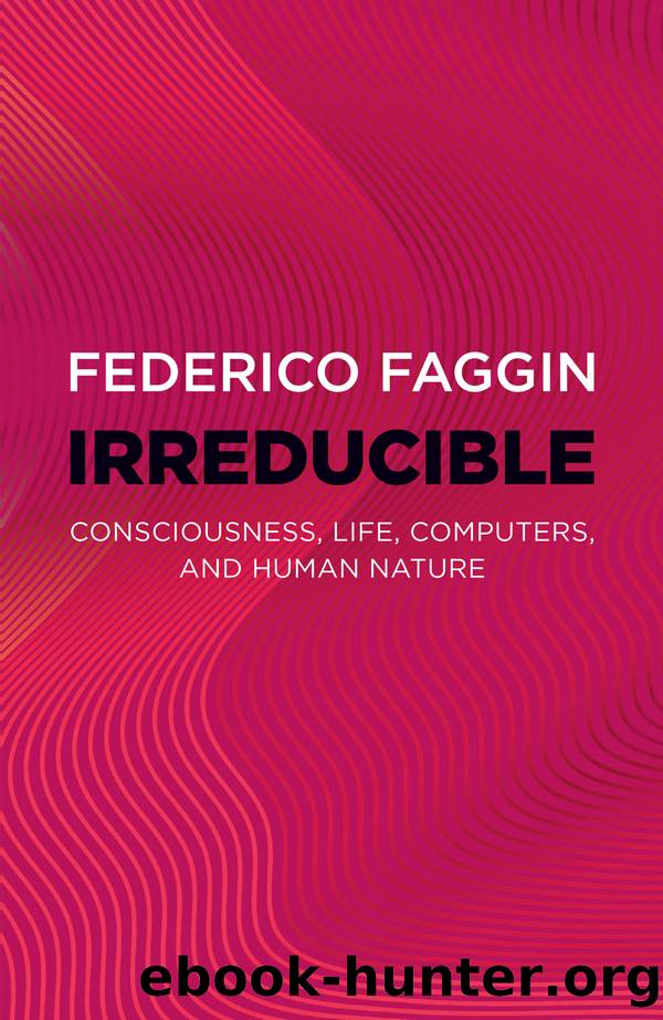 Irreducible by Federico Faggin