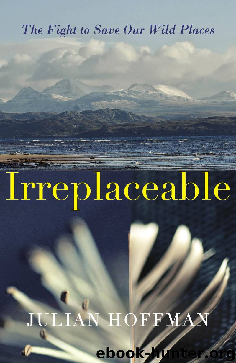 Irreplaceable by Julian Hoffman