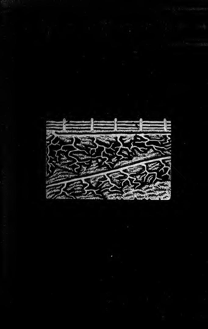 Irrigation for the farm, garden, and orchard by Stewart Henry