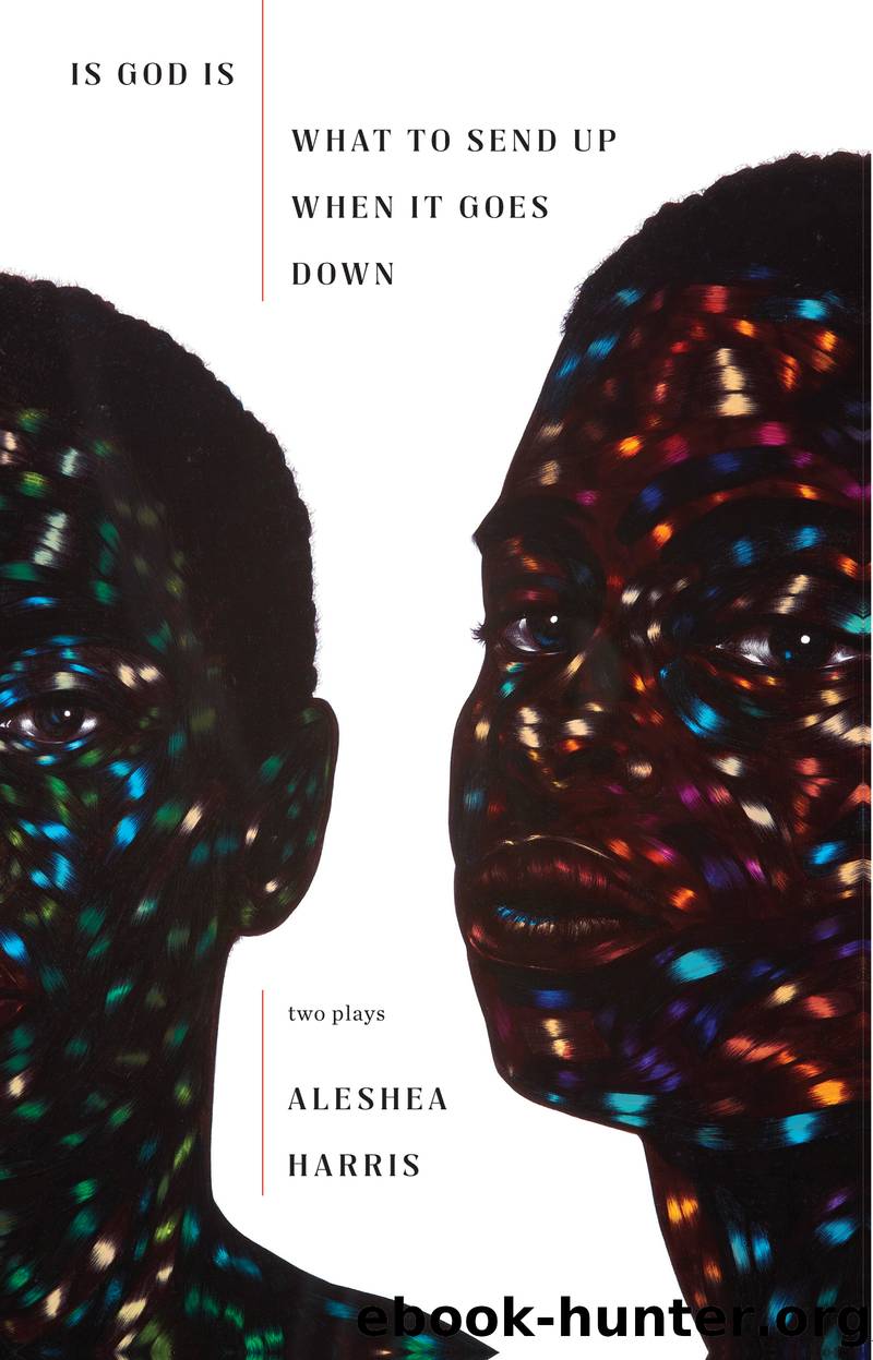 Is God Is What to Send Up When It Goes Down by Aleshea Harris