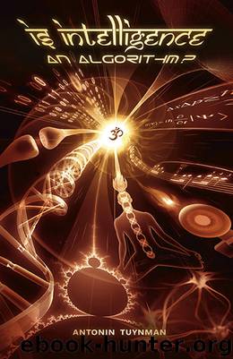 Is Intelligence an Algorithm? by Antonin Tuynman