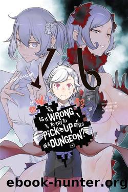 Is It Wrong to Try to Pick Up Girls in a Dungeon?, Vol. 16 (light novel) by Fujino Omori