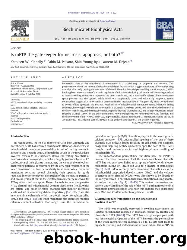 Is mPTP the gatekeeper for necrosis, apoptosis, or both? by Kathleen W. Kinnally & Pablo M. Peixoto & Shin-Young Ryu & Laurent M. Dejean
