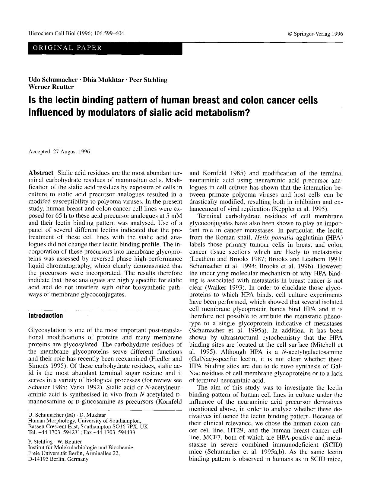 Is the lectin binding pattern of human breast and colon cancer cells influenced by modulators of sialic acid metabolism? by Unknown