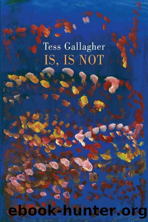 Is, Is Not by Gallagher Tess;