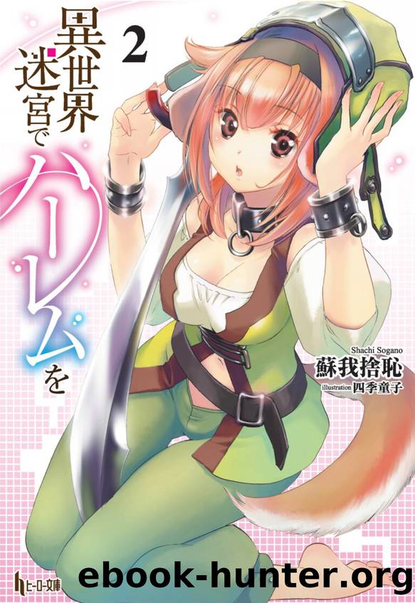 Isekai Meikyuu de Harem wo v02 by Sogano Shachi