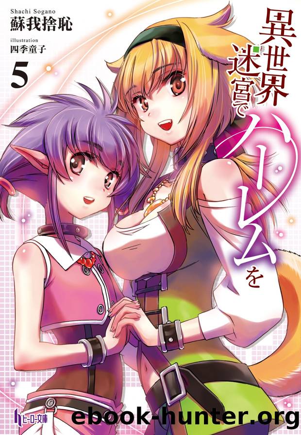 Isekai Meikyuu de Harem wo v05 by Sogano Shachi