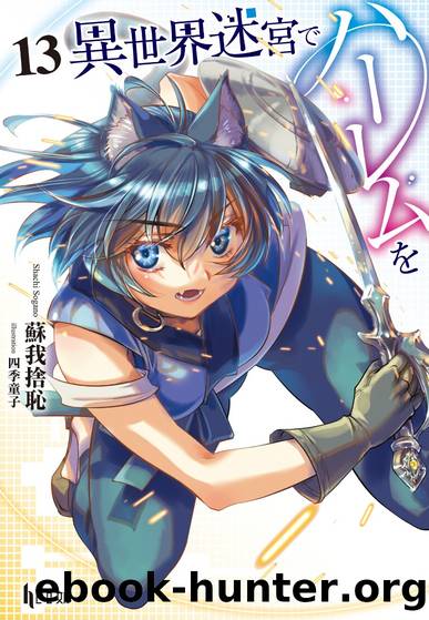 Isekai Meikyuu de Harem wo v13 by Sogano Shachi